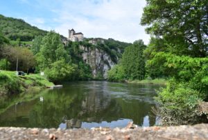 carpe en rivière en été