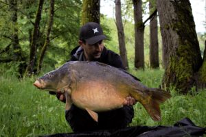 carpe en rivière en été