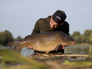 carpe en rivière en été