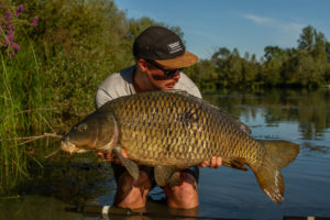 carpe en rivière en été