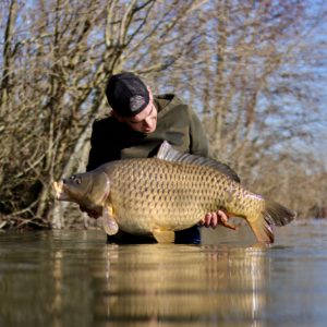 carpe en eau froide