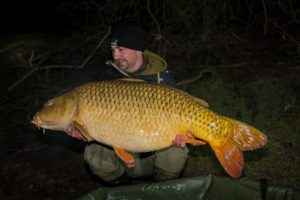 dérives de la pêche de la carpe