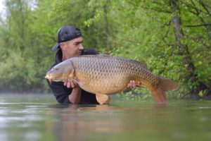 dérives de la pêche de la carpe