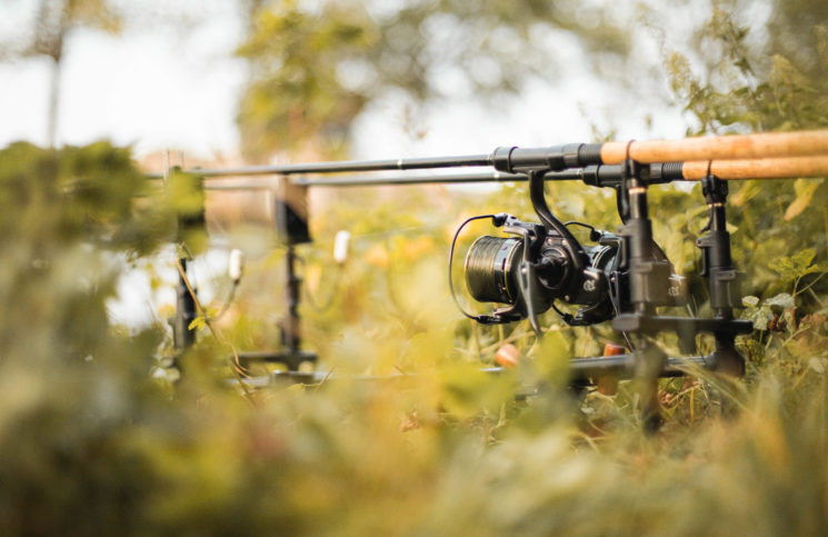 Pêcher la carpe à 2 cannes