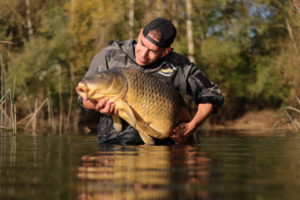 grosses carpes en automne