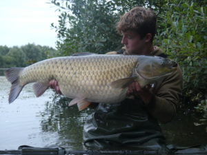 pêcher l'amour blanc