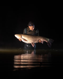 pêcher l'amour blanc