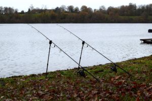 budget pour pêcher la carpe