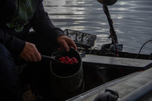 Quelles quantités amorcer