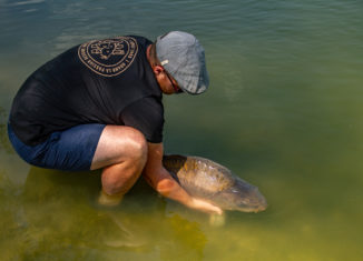 Carpe en no-kill – Le respect du poisson