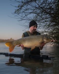 session printanière