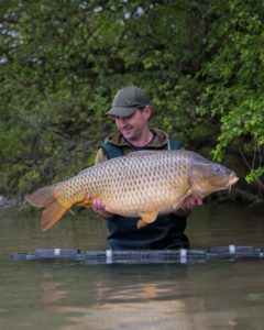 session printanière