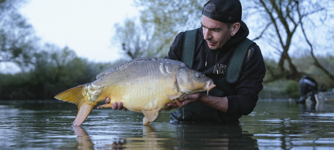 Carpe au printemps en rivière !