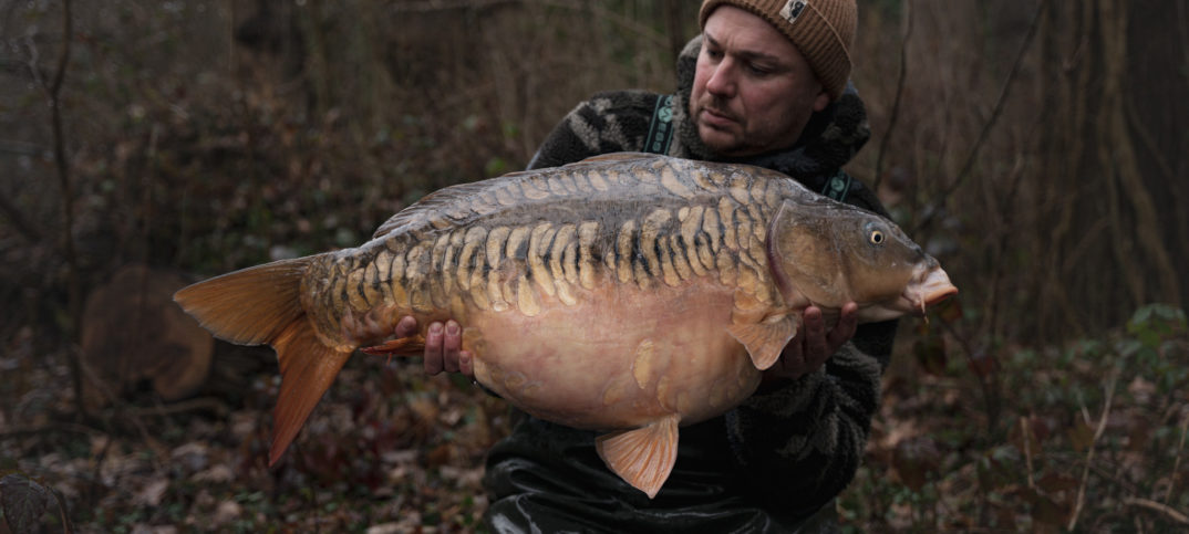 Changer de poste pour trouver des carpes ?