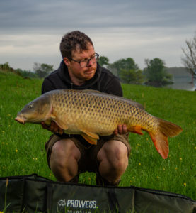 carpe dans la vase