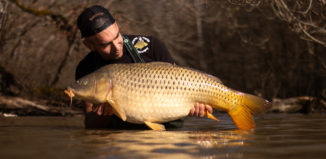 Pêcher la carpe dans la vase !