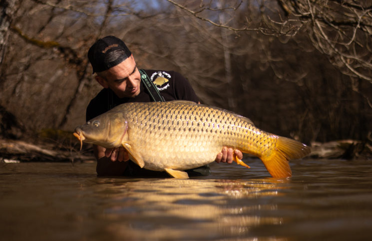 Pêcher la carpe dans la vase !