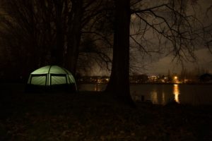 carpe de nuit