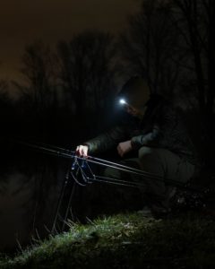 carpe de nuit