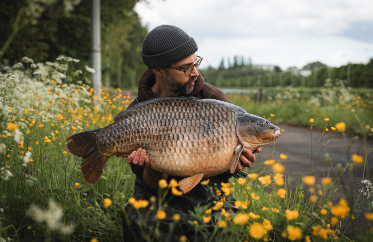 préparer une session carpe