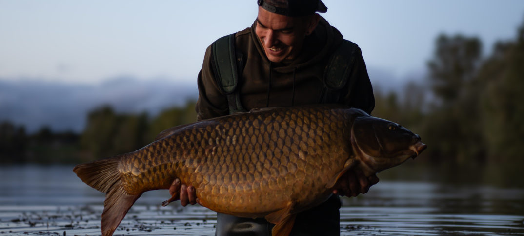 Comment pêcher des carpes éduquées ?