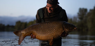 Comment pêcher des carpes éduquées ?