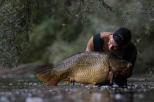 carpes éduquées